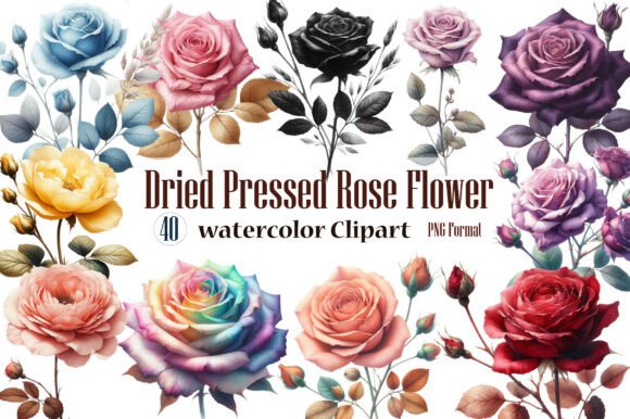 Watercolor Dried Pressed Rose Flower Design Pack